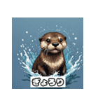 表情カワウソ（個別スタンプ：20）