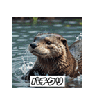 表情カワウソ（個別スタンプ：33）