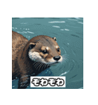 表情カワウソ（個別スタンプ：37）