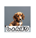 表情ゆたかなダックスフント（個別スタンプ：3）