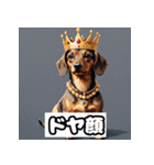 表情ゆたかなダックスフント（個別スタンプ：14）