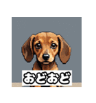 表情ゆたかなダックスフント（個別スタンプ：16）