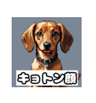 表情ゆたかなダックスフント（個別スタンプ：21）