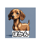 表情ゆたかなダックスフント（個別スタンプ：22）