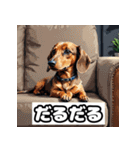 表情ゆたかなダックスフント（個別スタンプ：28）