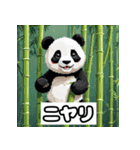 気まぐれパンダ大行進（個別スタンプ：1）