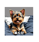 表情で遊ぶヨークシャーテリア40スタンプ（個別スタンプ：3）