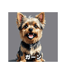 表情で遊ぶヨークシャーテリア40スタンプ（個別スタンプ：10）