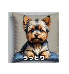 表情で遊ぶヨークシャーテリア40スタンプ（個別スタンプ：26）