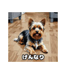表情で遊ぶヨークシャーテリア40スタンプ（個別スタンプ：31）