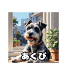 表情で遊ぶミニチュアシュナウザースタンプ（個別スタンプ：3）
