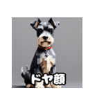 表情で遊ぶミニチュアシュナウザースタンプ（個別スタンプ：7）