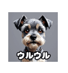 表情で遊ぶミニチュアシュナウザースタンプ（個別スタンプ：9）
