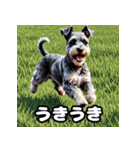 表情で遊ぶミニチュアシュナウザースタンプ（個別スタンプ：13）