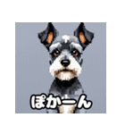 表情で遊ぶミニチュアシュナウザースタンプ（個別スタンプ：19）