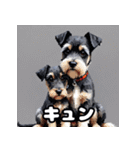 表情で遊ぶミニチュアシュナウザースタンプ（個別スタンプ：25）