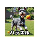 表情で遊ぶミニチュアシュナウザースタンプ（個別スタンプ：37）