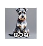 表情で遊ぶミニチュアシュナウザースタンプ（個別スタンプ：38）