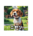 毎日使える表情豊かな犬のビーグルスタンプ（個別スタンプ：1）