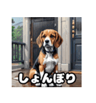 毎日使える表情豊かな犬のビーグルスタンプ（個別スタンプ：3）