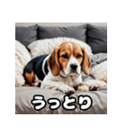 毎日使える表情豊かな犬のビーグルスタンプ（個別スタンプ：16）