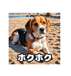 毎日使える表情豊かな犬のビーグルスタンプ（個別スタンプ：26）