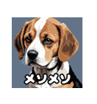毎日使える表情豊かな犬のビーグルスタンプ（個別スタンプ：33）