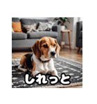 毎日使える表情豊かな犬のビーグルスタンプ（個別スタンプ：36）