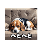 毎日使える表情豊かな犬のビーグルスタンプ（個別スタンプ：37）