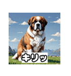 表情豊かなセントバーナード（個別スタンプ：34）