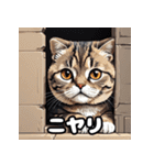 40表情スコティッシュフォールド猫スタンプ（個別スタンプ：6）