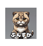 40表情スコティッシュフォールド猫スタンプ（個別スタンプ：7）