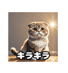 40表情スコティッシュフォールド猫スタンプ（個別スタンプ：9）