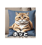 40表情スコティッシュフォールド猫スタンプ（個別スタンプ：11）
