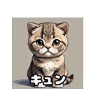 40表情スコティッシュフォールド猫スタンプ（個別スタンプ：12）