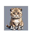 40表情スコティッシュフォールド猫スタンプ（個別スタンプ：13）