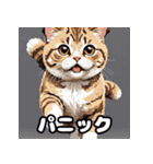 40表情スコティッシュフォールド猫スタンプ（個別スタンプ：14）