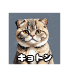 40表情スコティッシュフォールド猫スタンプ（個別スタンプ：15）