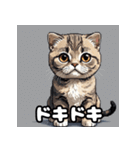 40表情スコティッシュフォールド猫スタンプ（個別スタンプ：23）