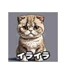 40表情スコティッシュフォールド猫スタンプ（個別スタンプ：27）