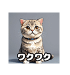 40表情スコティッシュフォールド猫スタンプ（個別スタンプ：34）