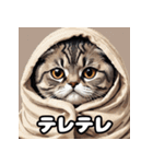 40表情スコティッシュフォールド猫スタンプ（個別スタンプ：36）