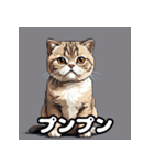 40表情スコティッシュフォールド猫スタンプ（個別スタンプ：37）