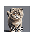 40表情スコティッシュフォールド猫スタンプ（個別スタンプ：40）