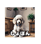 もふもふプードルのランダム表情スタンプ（個別スタンプ：3）