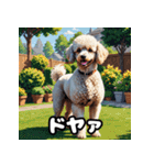 もふもふプードルのランダム表情スタンプ（個別スタンプ：7）