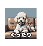 もふもふプードルのランダム表情スタンプ（個別スタンプ：17）