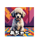 もふもふプードルのランダム表情スタンプ（個別スタンプ：31）