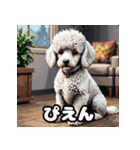 もふもふプードルのランダム表情スタンプ（個別スタンプ：40）