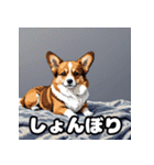 表情いっぱいコーギー（個別スタンプ：3）